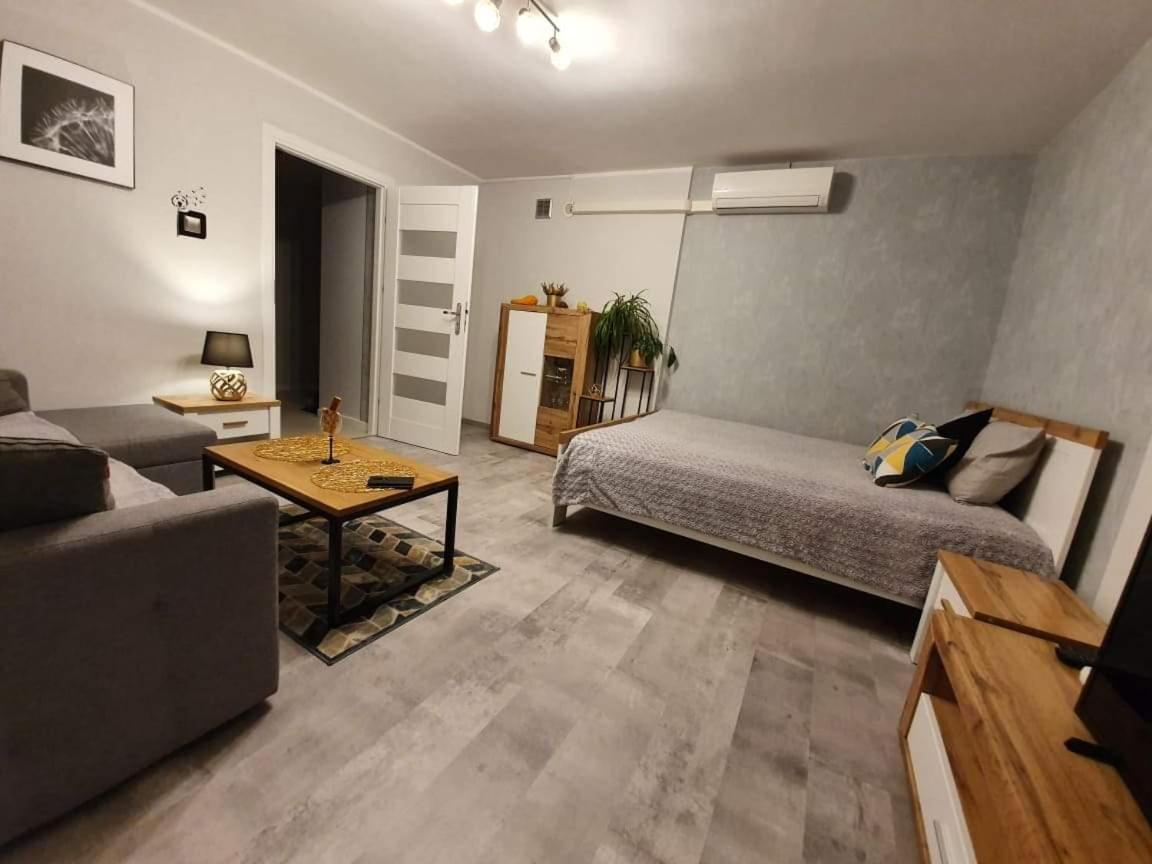 Apartament 27 Plock Luaran gambar